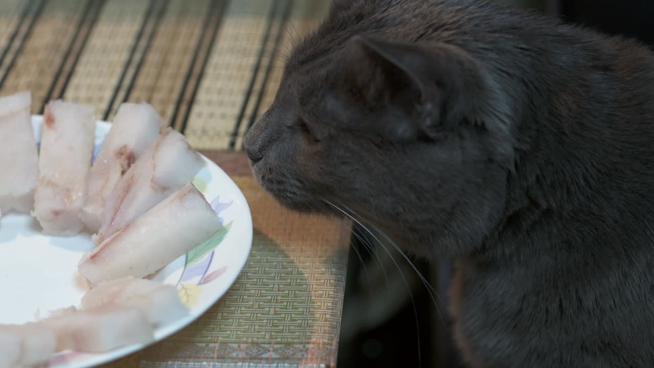 Cat stealing food from the table.