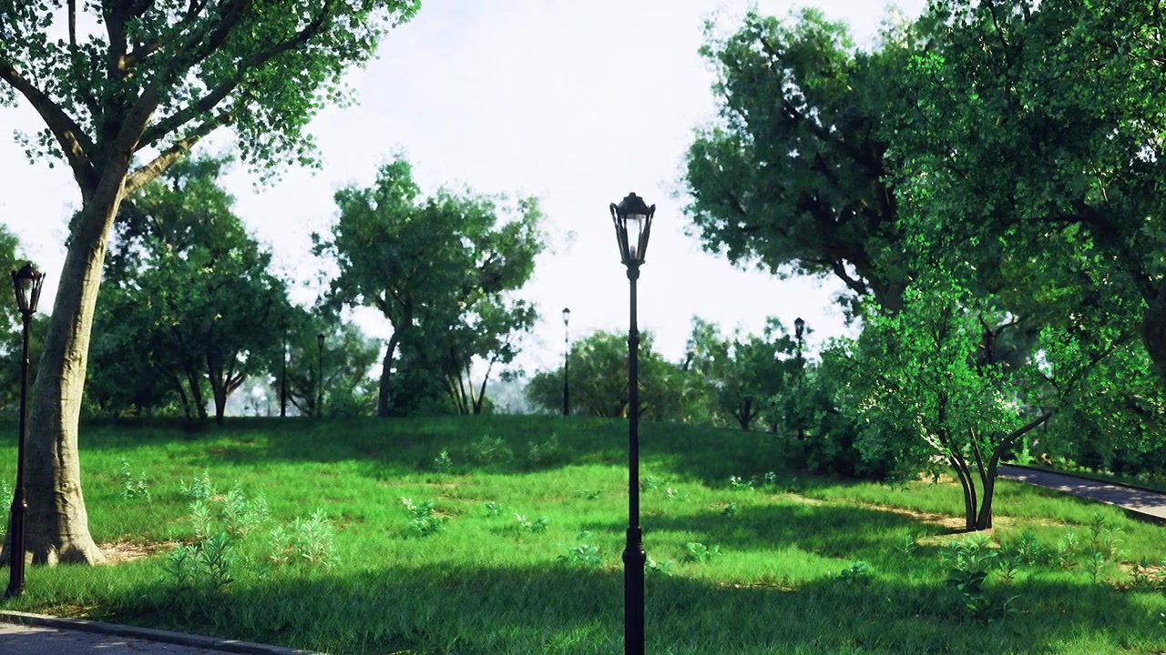 Quiet evening landscape featuring grassy fields and softly shining trees