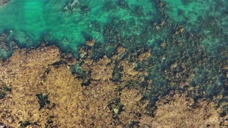 Aerial-view-of-Nhon-Hai-fishing-village-with-seaweed