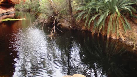 a slight breeze causes soft ripples across the calm water in a secluded oasis