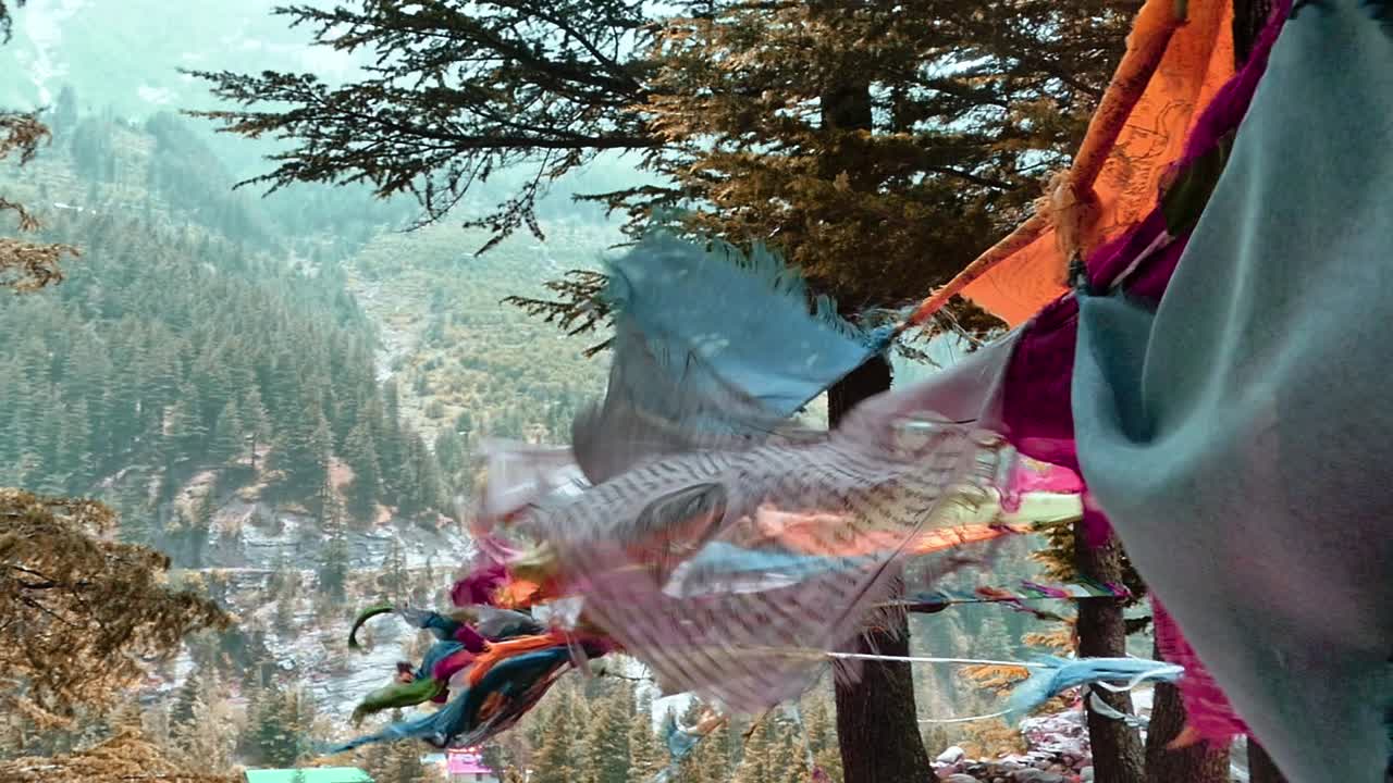 bandera de oración budista atada a un árbol