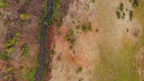 Fliegen-über-Kahles-Kiefernwaldland-Mit-Leerem-Dreck,-Fließender-Flussstrom