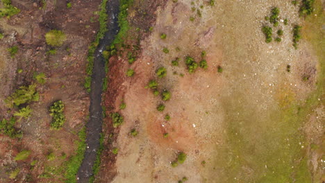 flying over bare pine forest land with empty dirt, river stream flowing
