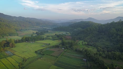 aerial view of rice fields in a mountainous valley