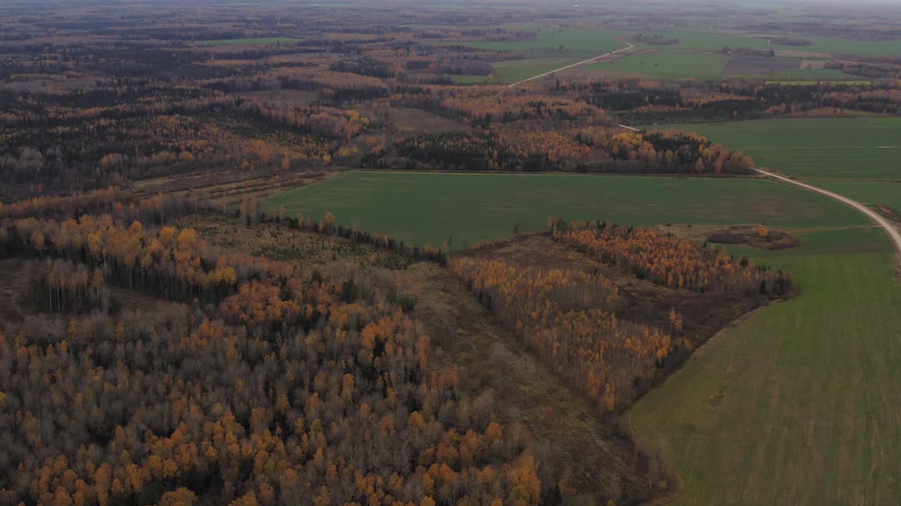 Autumn Landscape Aerial View of Forests and Fields