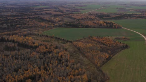 autumn landscape aerial view of forests and fields