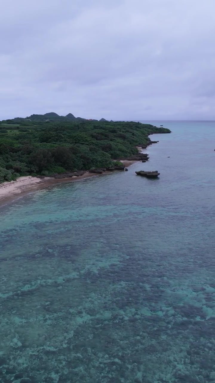 Riprese aeree verticali con spostamento laterale a destra e panoramica fluida a sinistra lungo la costa di Tabaga Beach, vicino a Kabira Bay, sull'isola di Ishigaki, Okinawa, Giappone
