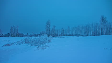 Ländliche-Winterlandschaft.-Wald,-Tiefschnee