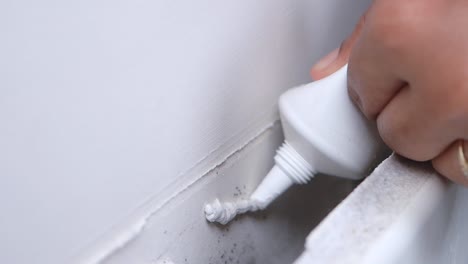 applying sealant to a wall joint