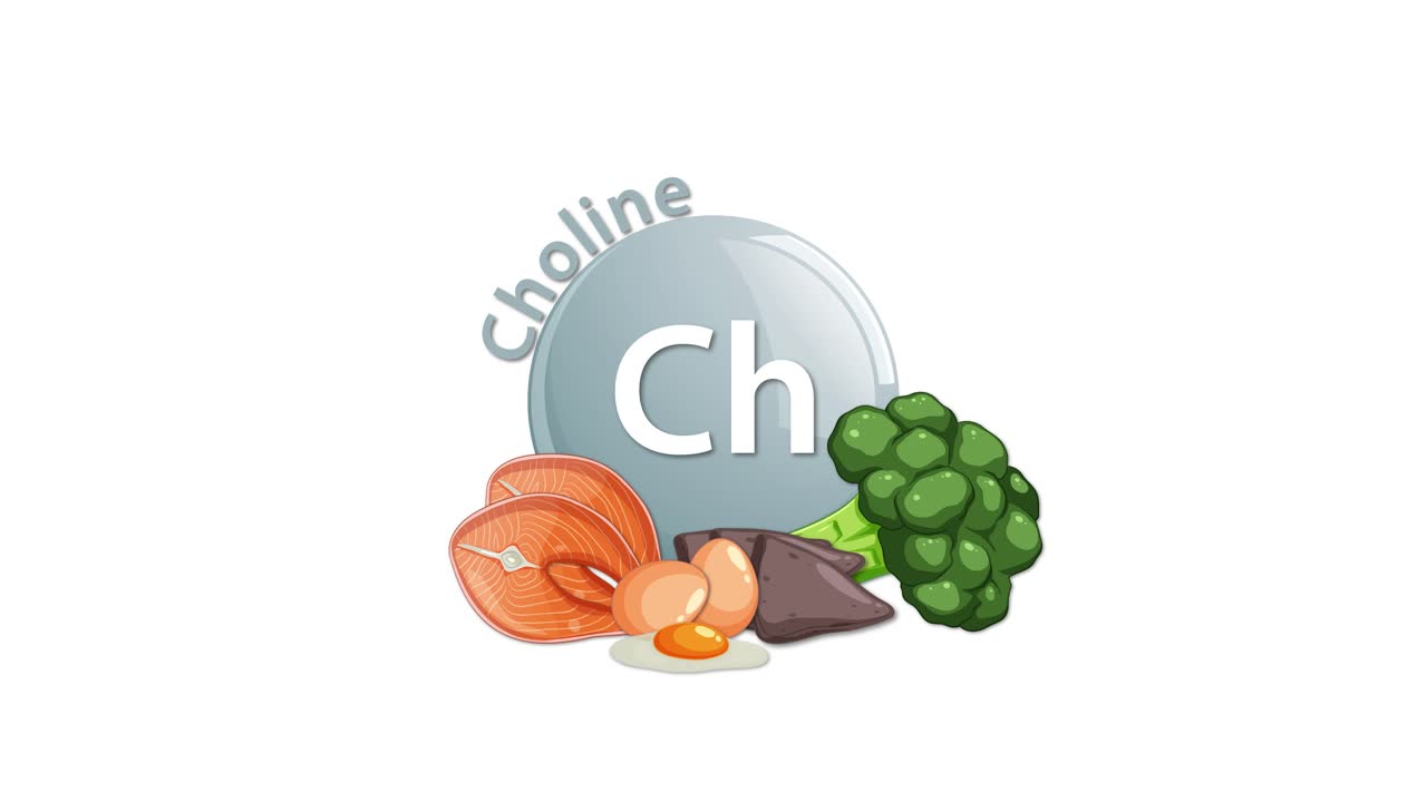 A smooth animation introduces the choline nutrient symbol, followed by illustrated foods like eggs, broccoli, and meat, with clean, bright visuals and minimal movement