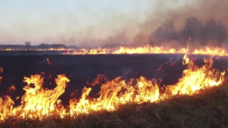 field fire at sunset