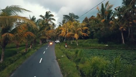 riding a motorcycle through a tropical landscape in bali
