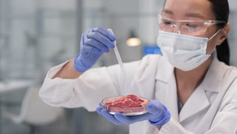 scientist analyzing meat sample in lab