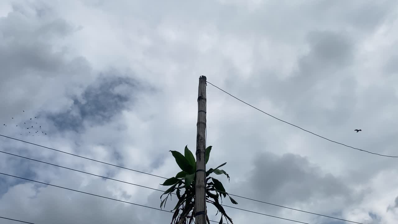 líneas eléctricas y electricidad