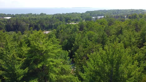 Aerial-descent-through-lush-treetops-to-wild-river-and-highway