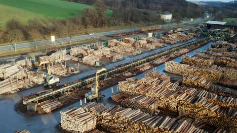 an aerial view of log loader sorting the logs which coming out of the conveyor belt into different stacks log loader sorting the logs which coming out of the conveyor belt