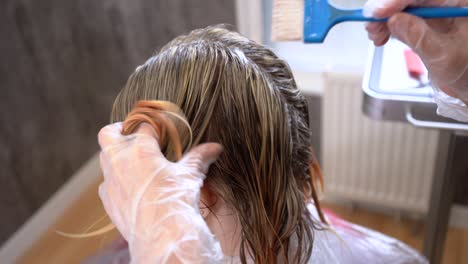 hair toning after hair coloring or highlighting in blonde in a barber shop.