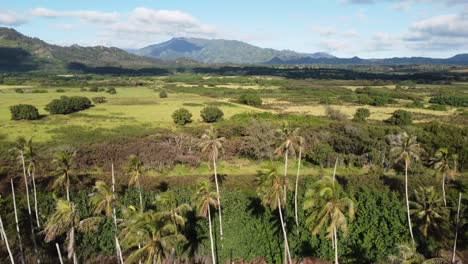 Cinematic-aerial-footage-of-Wild-Kauai-nature-on-sunny-Hawaii-island