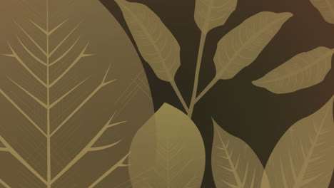 animación de hojas de plantas tropicales sobre fondo marrón