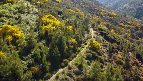 late afternoon sun over the hiking trails and paths of fisgas natural park portugal