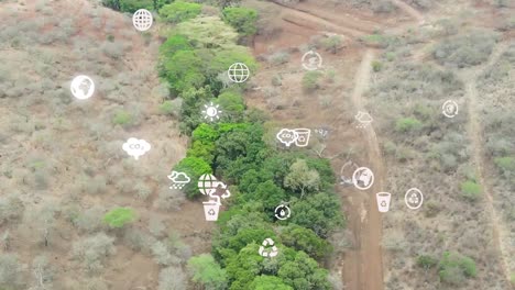 futuristic aerial drone view of the forest coverage