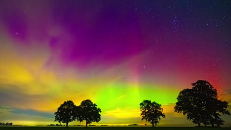 Nighttime timelapse of the aurora borealis and stars with the silhouette of trees