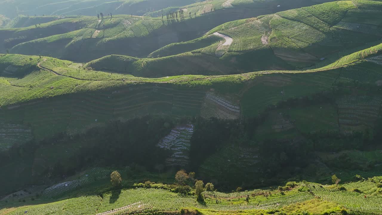 Scenic aerial panorama of green terraced fields on mountain slopes. Captivating rural landscape with natural curves and shadows creating rich texture and depth, Indonesia
