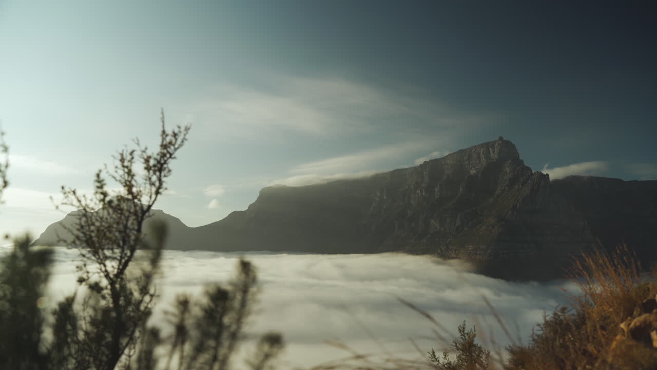 cacerola lenta a través de los arbustos que revelan la cima del parque nacional de la montaña de la mesa temprano en la mañana con nubes al pie de la montaña que cubre la ciudad de ciudad del cabo debajo