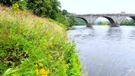 a serene view of a bridge and river