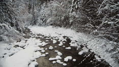 Pristine-Water-Flowing-By-Mountain-River-Surrounded-With-Coniferous-Trees-In-Winter-At-Kokanee-Creek-Provincial-Park-In-BC,-Canada