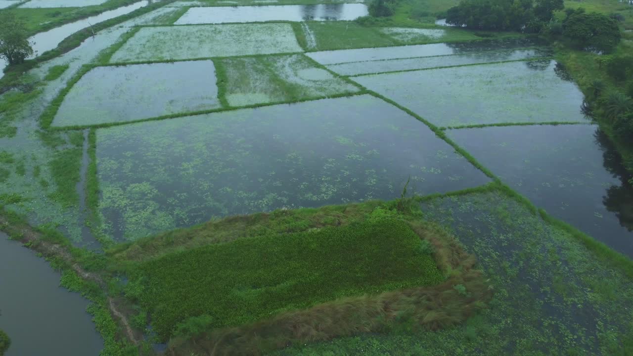 The surrounding area was flooded due to heavy rain