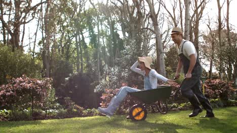 man pushing his girlfriend in a wheelbarrow