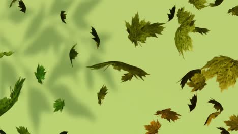 Animation-of-autumn-leaves-falling-on-green-background