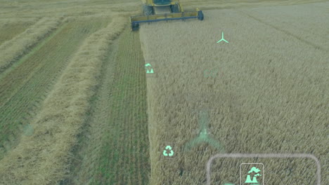 combine harvester cutting golden wheat field from above, showing flat green eco data icons