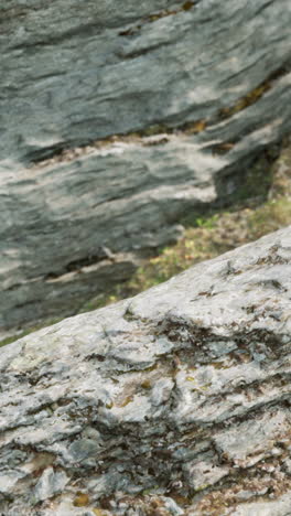 close-up of a rock face