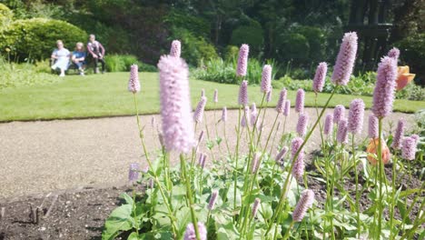 Sonnige-Parklandschaft-Mit-Blumen-Und-Unscharfen-Menschen,-Die-Auf-Einer-Bank-Ruhen