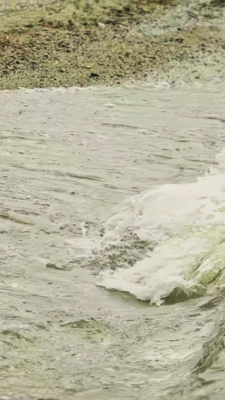 해변의 부드러운 파도