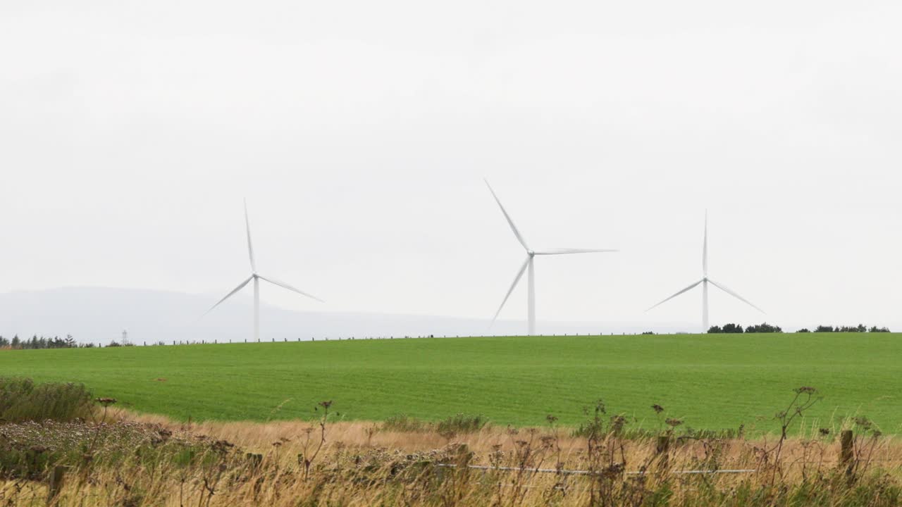 turbinas eólicas que giran en un campo verde