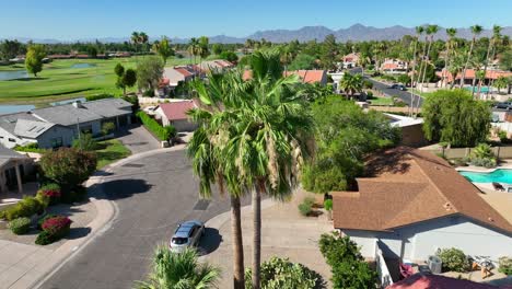 Palm-trees-in-Southwest-USA-country-club-neighborhood