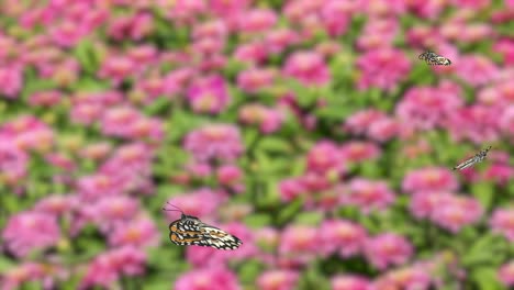 butterflies gracefully flutter over a colorful garden, creating a lively and serene atmosphere with dynamic movement and vivid colors
