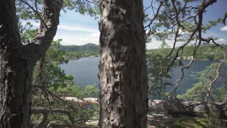 increíble paisaje de lago de montaña natural, deslizador revela detrás de los árboles del bosque