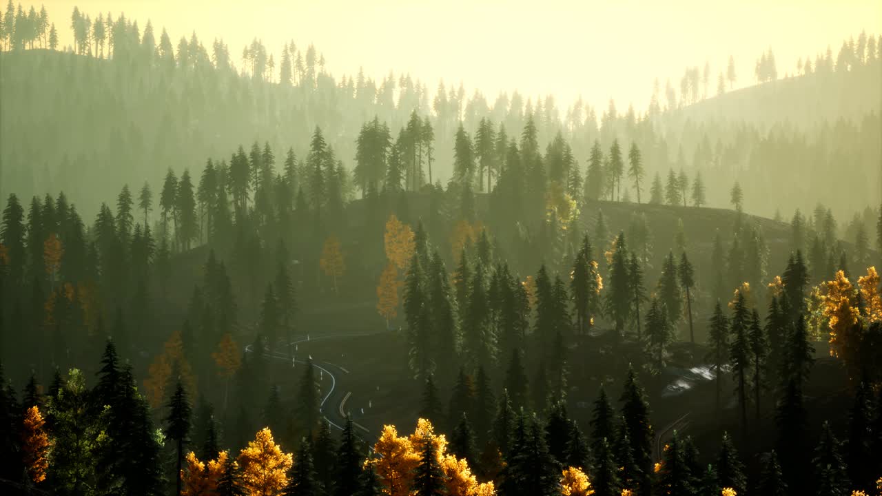 해가 지는 산의 배경에 안개에 스프루스 숲에서  ⁇ 빛