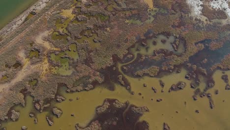imágenes aéreas de drones aéreos del río axios en tesalónica, grecia de un delta del río que conduce al mar mediterráneo y crea una huella similar a un pantano