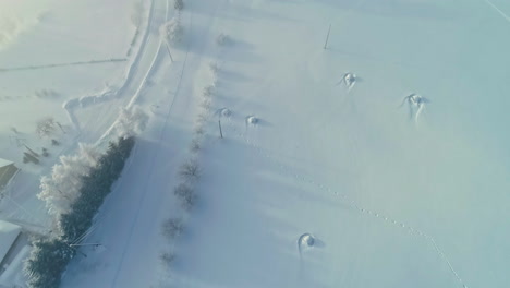 tierras de cultivo cubiertas de nieve y pequeños municipios, vista aérea de drones