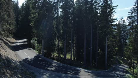 Sunbeams-through-trees-in-coniferous-forest-along-mountain-road,-Savoy-in-France