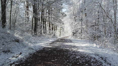 Snow-covered-forest-path-with-sunlight-filtering-through-the-trees