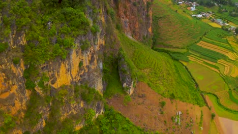 Slow-tilt-up-revealing-gorgeous-lush-farmland-in-the-dong-van-karst-plateau-geopark