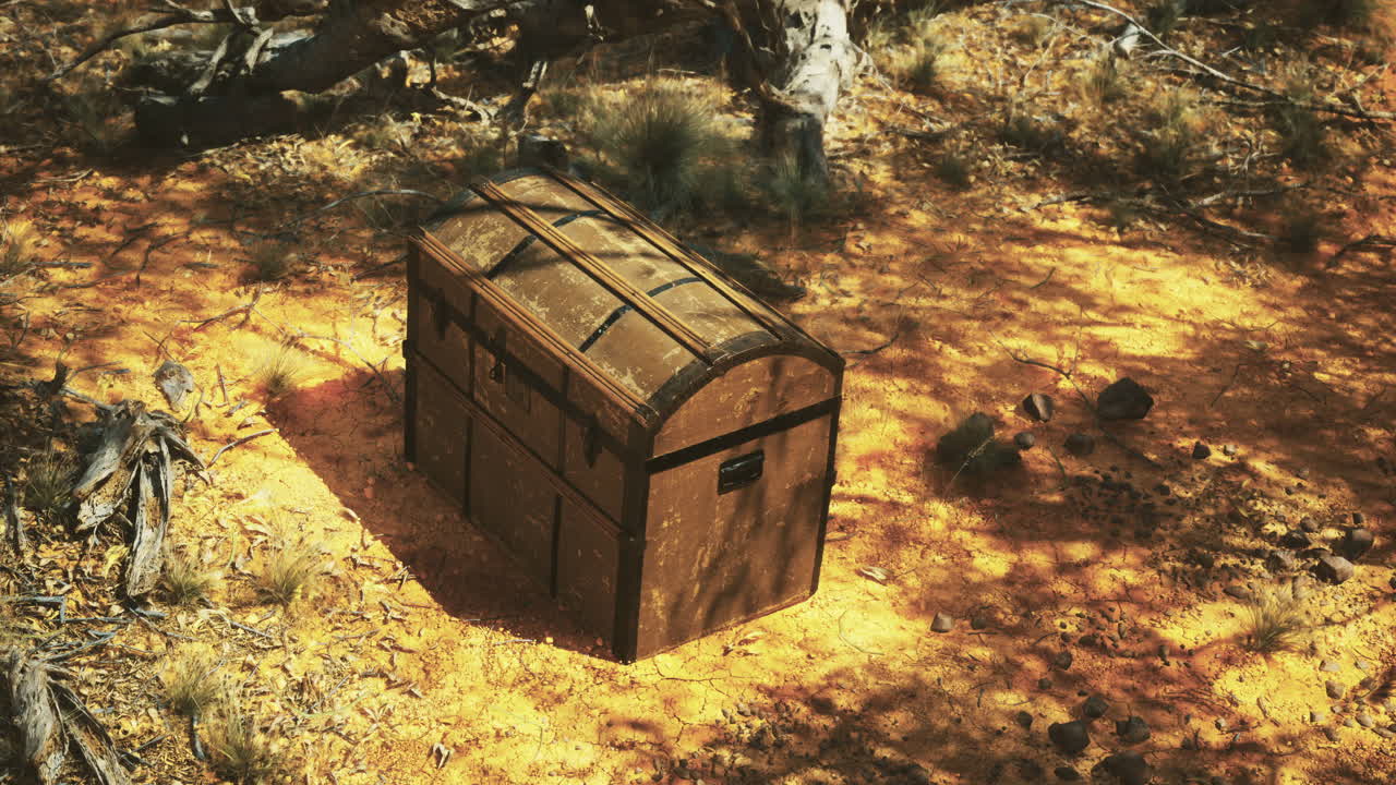 Discovery of an ancient treasure chest hidden among desert sands