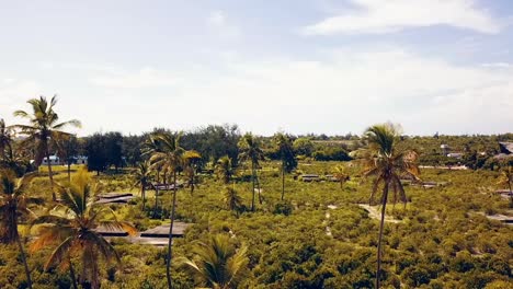 Butterweicher-Luftflug-Vorwärts-Fliegend-Drohne-Durch-Zwei-Kokospalmen-Und-Auf-Einem-Kokosnusshain-Paradiesischer-Weißer-Sandtraumstrand-Sansibar,-Afrika-2019