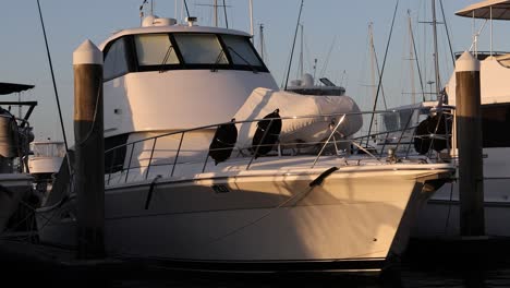 various boats docked at a marina